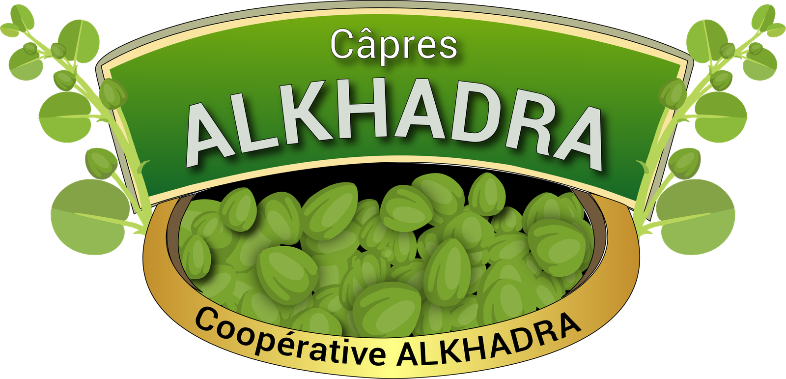 cooperative alkhadra
